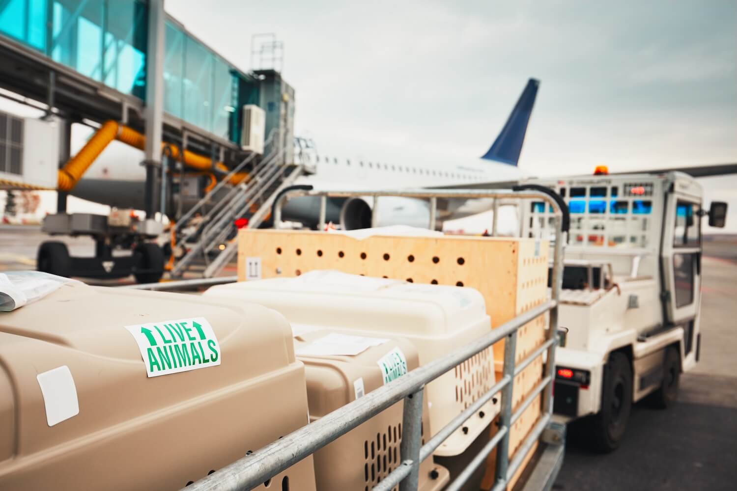Supply Chain & Sourcing